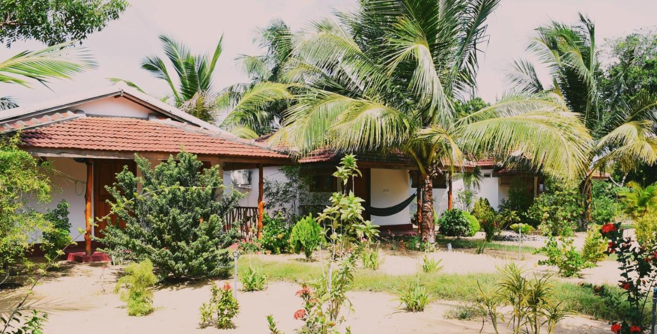 Prime Surfers Bungalow Vịnh Arugam Ngoại thất bức ảnh