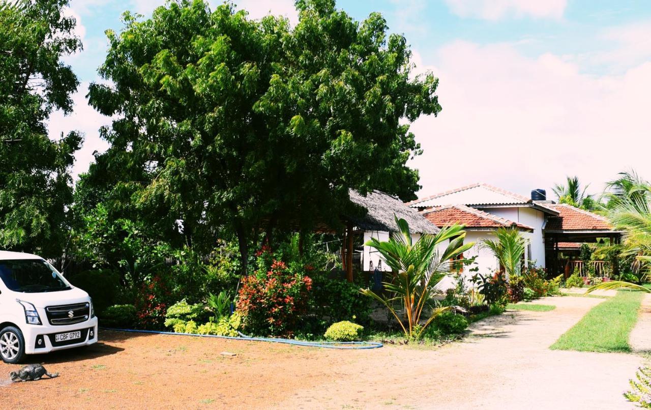 Prime Surfers Bungalow Vịnh Arugam Ngoại thất bức ảnh