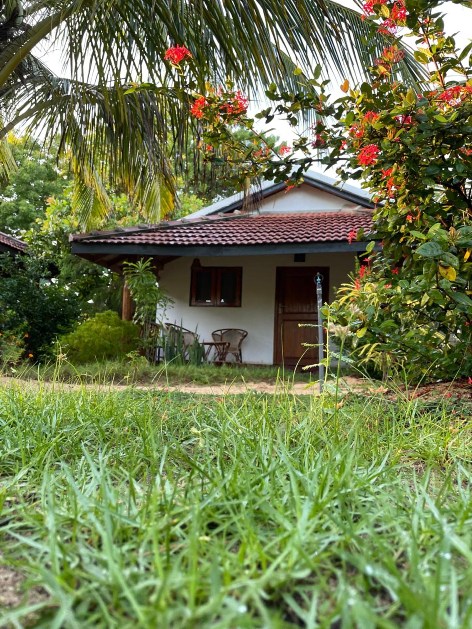 Prime Surfers Bungalow Vịnh Arugam Ngoại thất bức ảnh